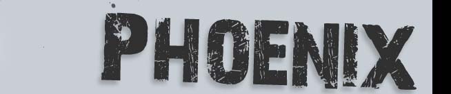 chicago male strippers